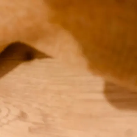 Sweet Sacre-coeur Montmartre *